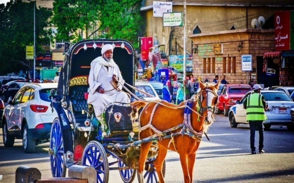 Tour to Luxor East bank by horse calech